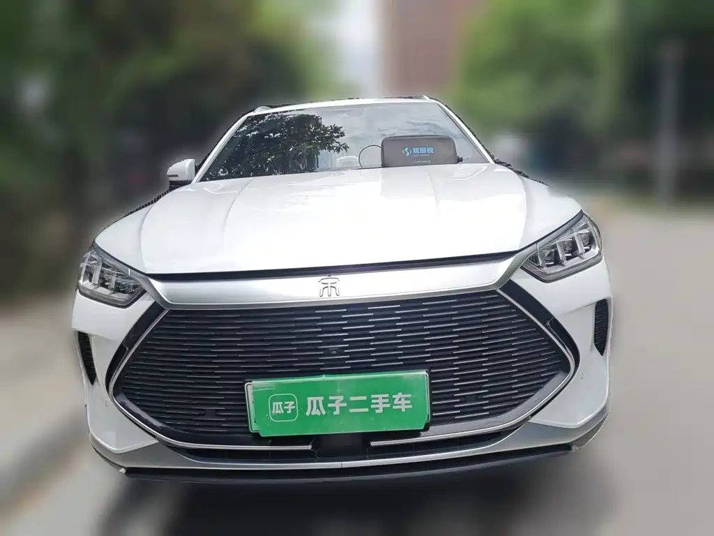 BYD Song PLUS New Energy 2021 — фото 24