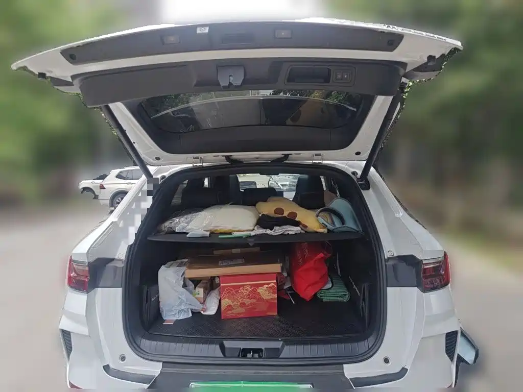 BYD Song PLUS New Energy 2021 — фото 10