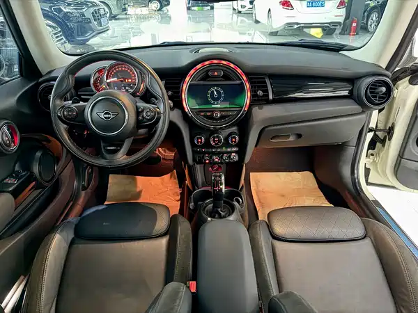 MINI MINI 2020