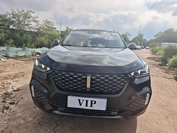 Wey VV6 2019