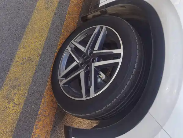 Dongfeng Haohan 2023