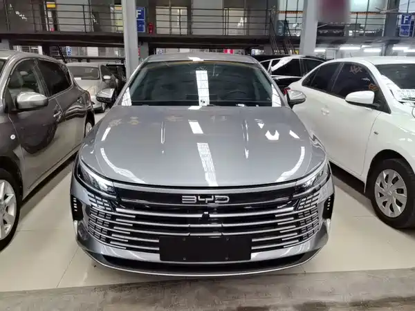 BYD Destroyer 05 2024