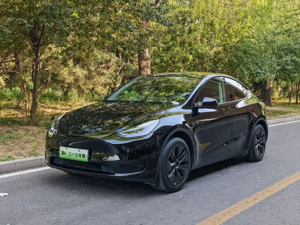 Tesla Model Y 2023 — фото 1