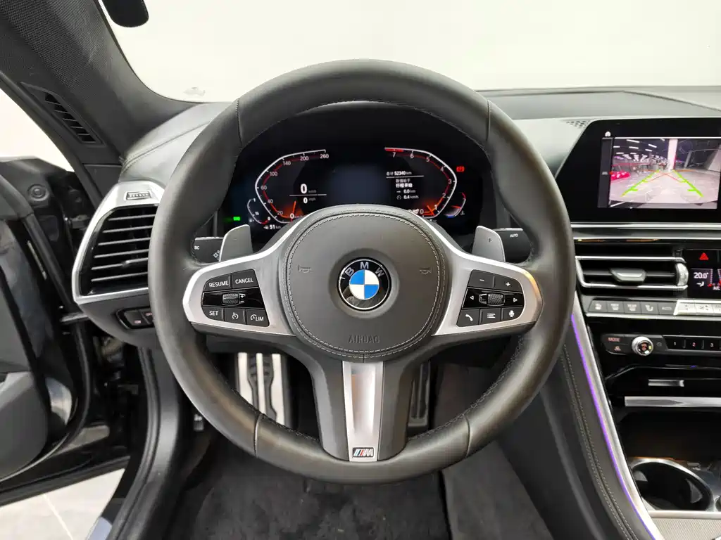 BMW 8 Series 2020 — фото 10