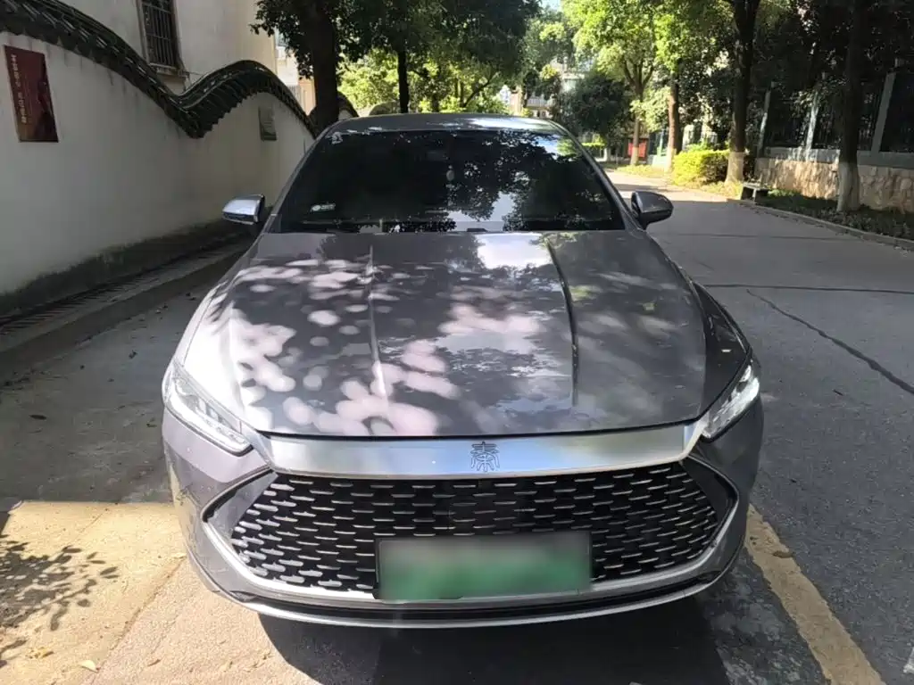 BYD Qin PLUS 2024