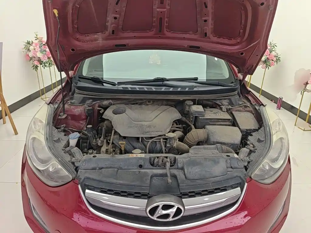 Hyundai Elantra Langdong 2015 — фото 20