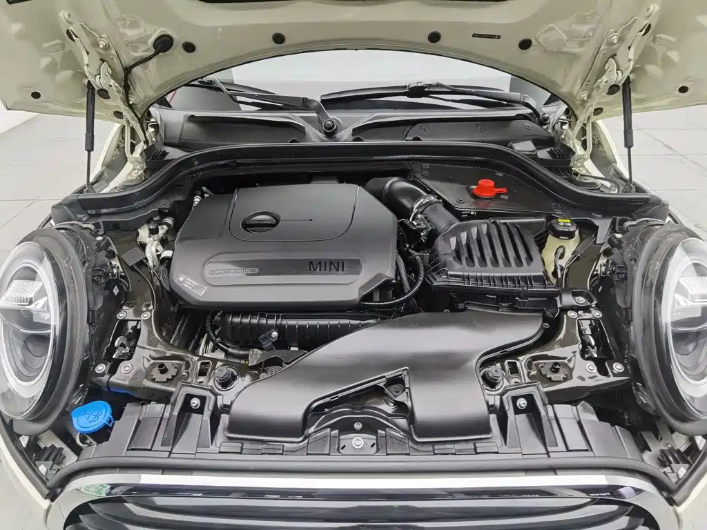 MINI MINI 2020