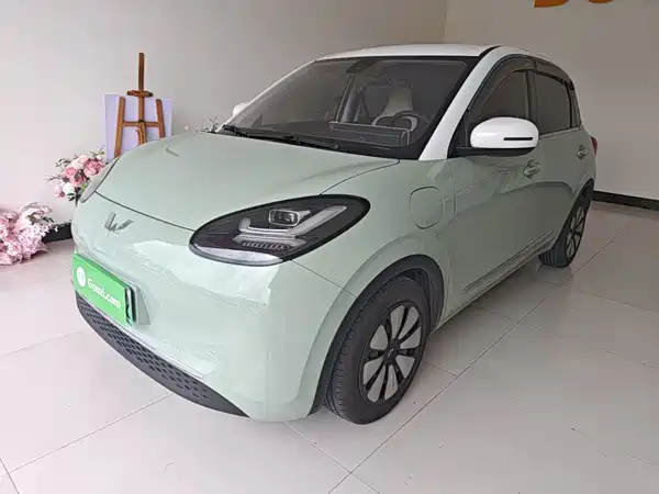 Wuling Bingo 2024