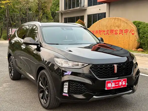 Wey VV6 2018
