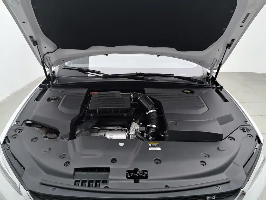 BYD Qin Pro New Energy 2019 — фото 6