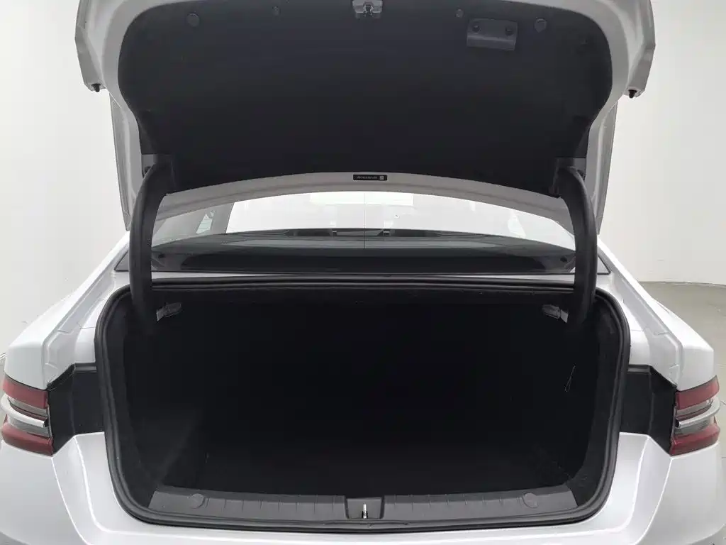 BYD Qin Pro New Energy 2019 — фото 16