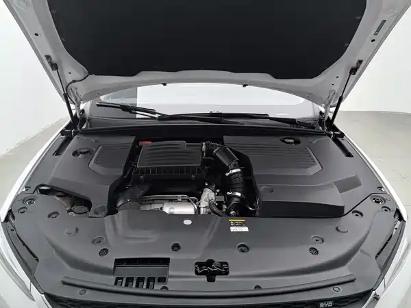 BYD Qin Pro New Energy 2019