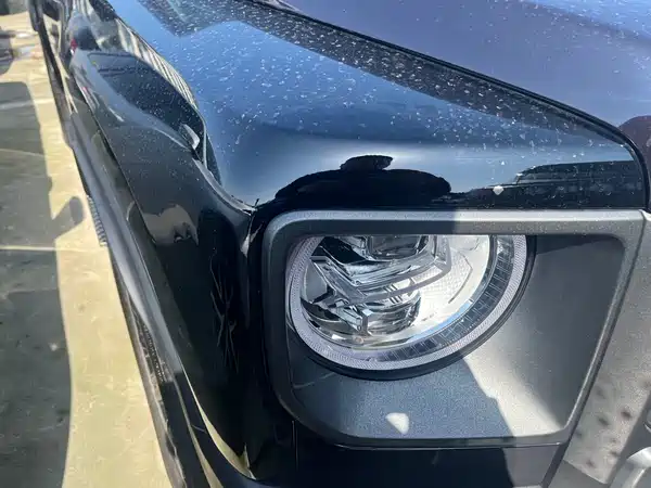 Haval Raptors New Energy 2024