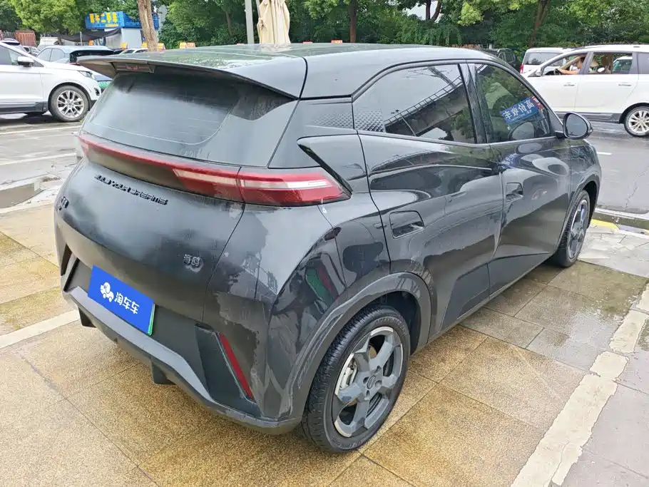 BYD Seagull 2024