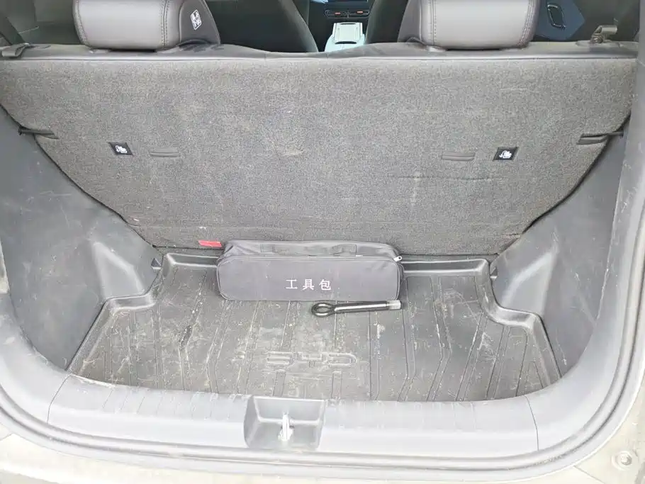 BYD Seagull 2024