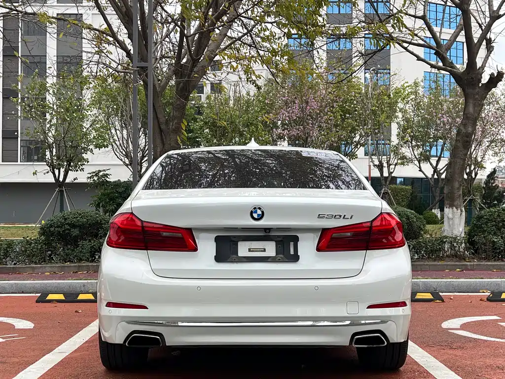 BMW 5 Series 2017 — фото 8