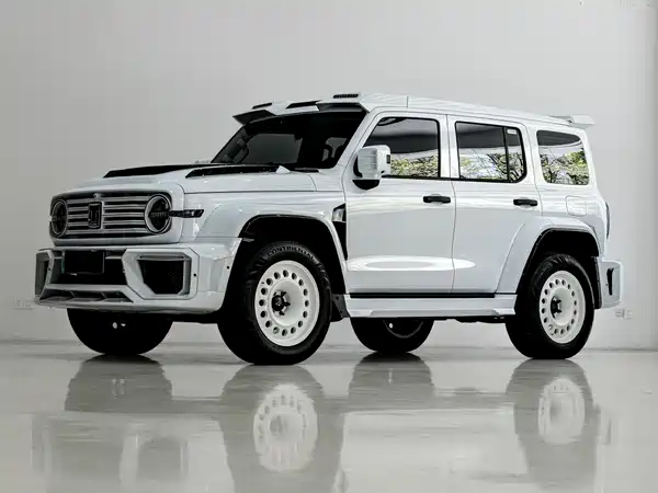 Tank 300 New Energy 2025