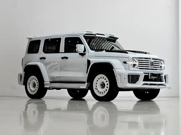 Tank 300 New Energy 2025