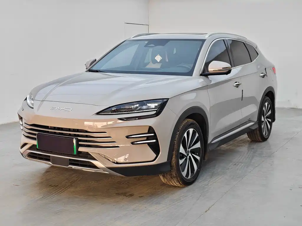 BYD PLUS New Energy 2025 — фото 1
