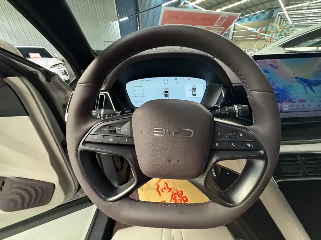 BYD PLUS New Energy 2025 — фото 12
