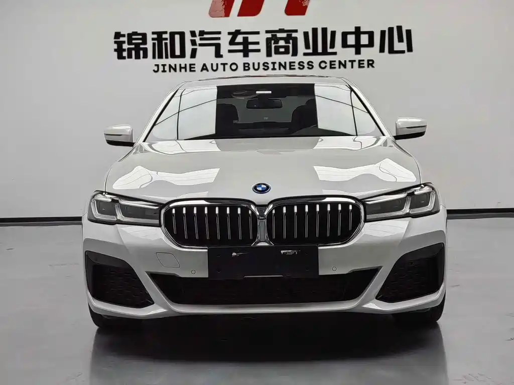 BMW 5 Series New Energy 2023