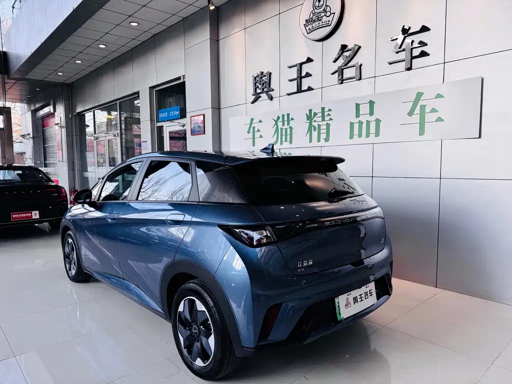 BYD Dolphin 2024