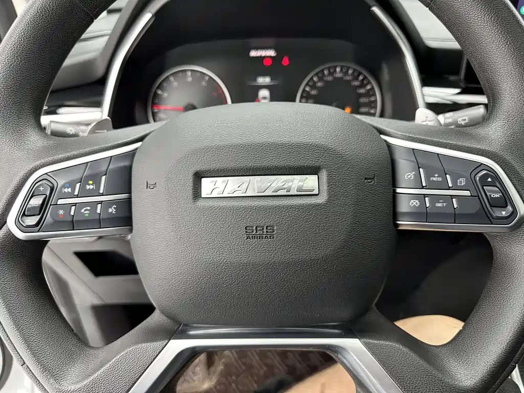 Haval H6 2022 — фото 15