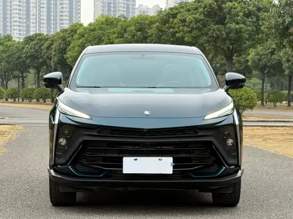 Dongfeng Fengxing T5 EVO 2024