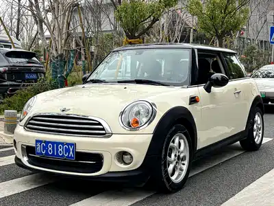 MINI MINI 2014