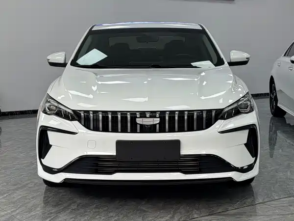 Geely Binrui 2022