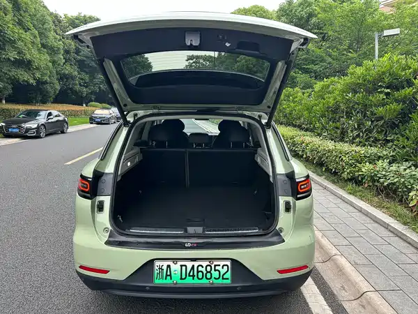 Leapmotor C11 2022