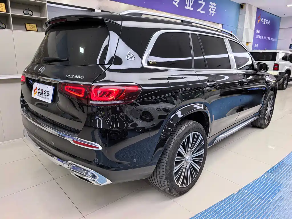 Mercedes-Benz Maybach GLS 2022 — фото 10