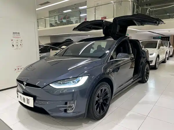 Tesla Model X 2020