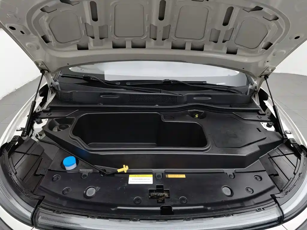 Dongfeng Nano 01 2024