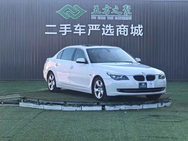 BMW 5 Series 2010