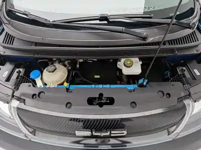 BYD Dolphin 2022