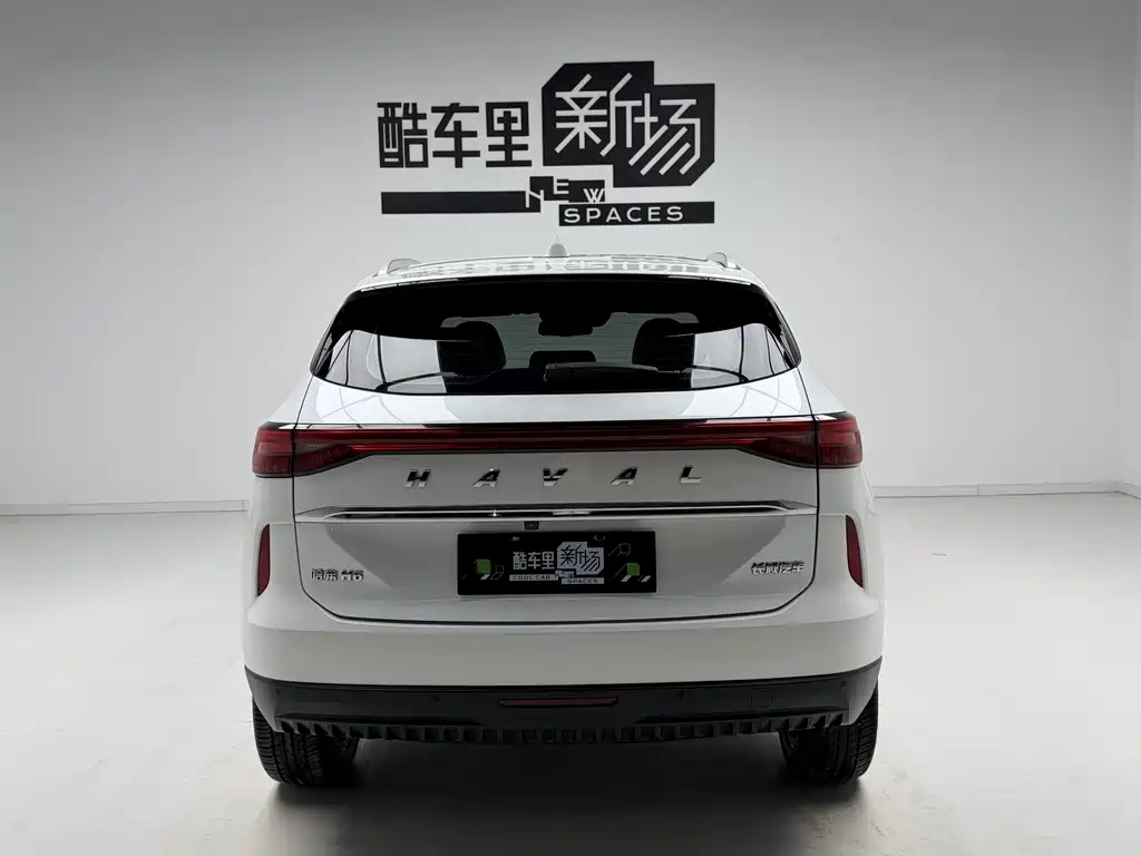 Haval H6 2021 — фото 5