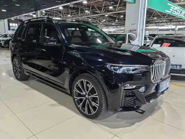 BMW X7 2019