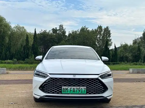 BYD Qin PLUS 2024