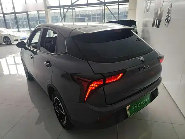 Neta V 2022