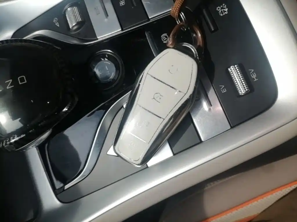 BYD Song Pro New Energy 2024 — фото 9