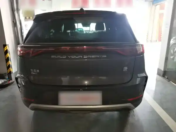 BYD Tang New Energy 2024