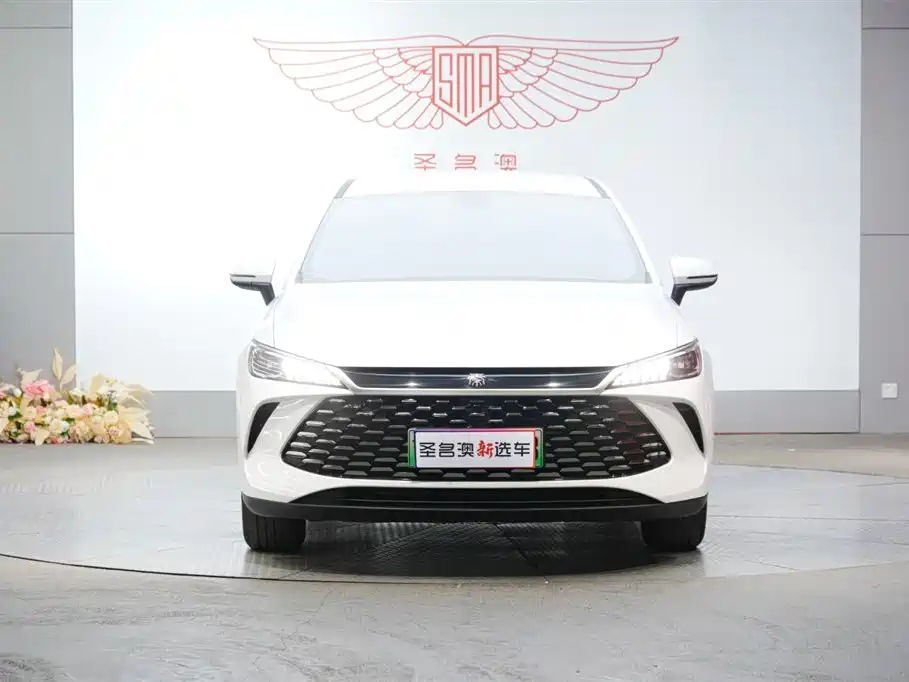 BYD Qin PLUS 2025 — фото 4