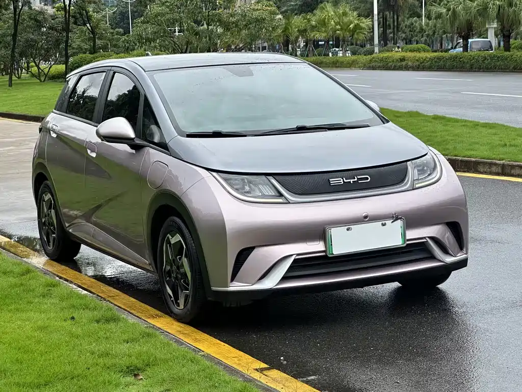 BYD Dolphin 2022