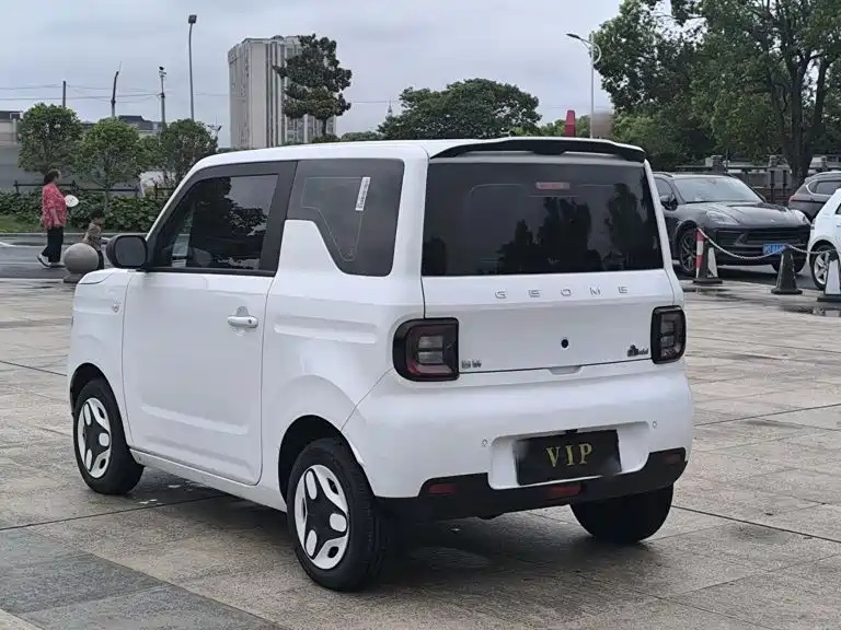 Geely Galaxy Panda 2025 — фото 24