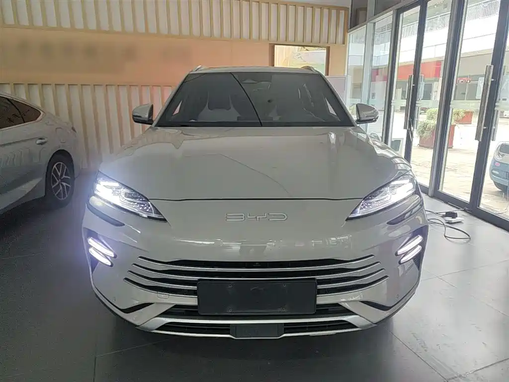 BYD PLUS New Energy 2024 — фото 3