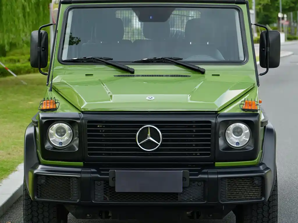 Mercedes-Benz G-Class 2017 — фото 2