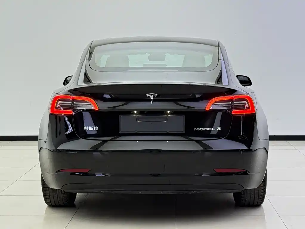Tesla Model 3 2021 — фото 18