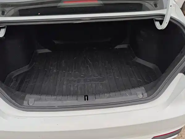Geely Binrui 2020