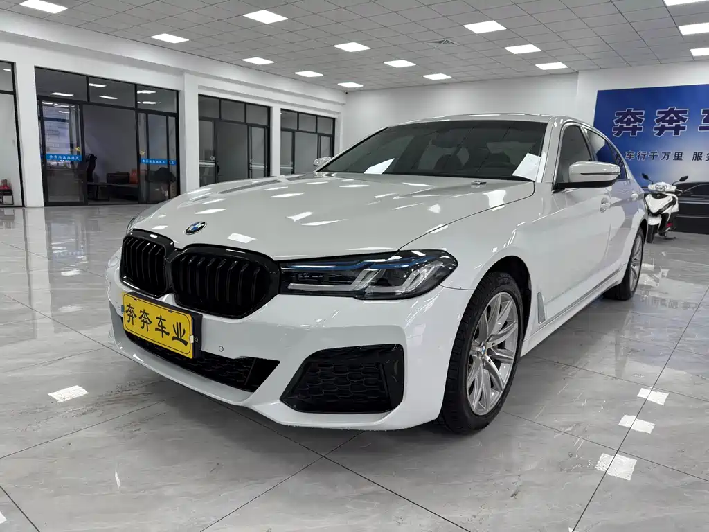 BMW 5 Series 2018 — фото 1